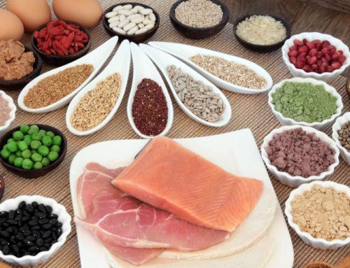 The Importance of Protein in Your Diet